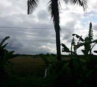 Landschaft