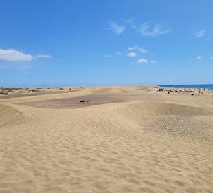 Dünen von Maspalomas