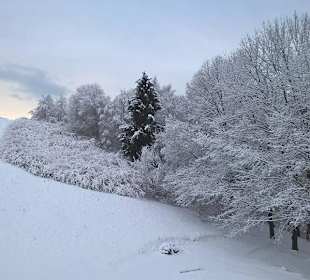 Muszyna widok z okna Muszyna nad Popradem