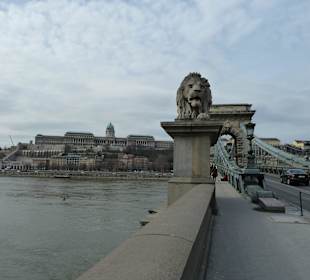 Blick auf den Burgpalast