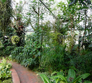 Tropenhaus im Botanischen Garten