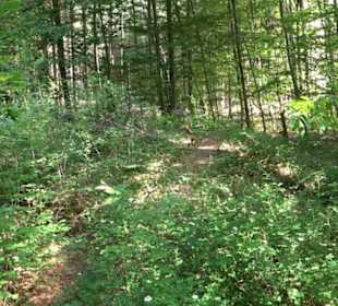 Keltische Grabstätten