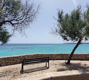 Roxybike Mountainbike Events und Coaching