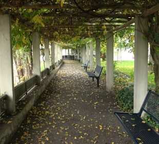 Stadtgarten