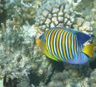 Alles so schön bunt hier