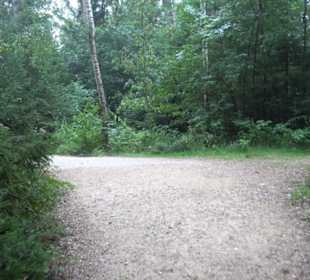 Dinosaurier Museum Altmühltal