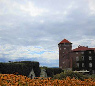 In der Nähe vom Schloss Wawel