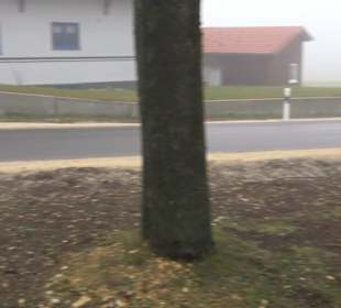 Auernheimer Krippenweg