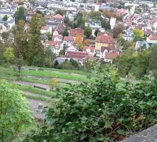 Serpentinenweg Grünraum