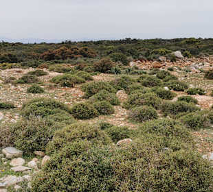 Wandern Didim