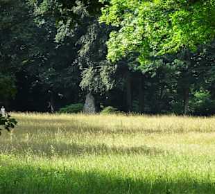 Impressionen vom Rundgang durch den Bamberger Hain