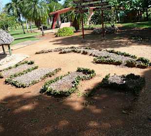 Minizoo an der Autobahn