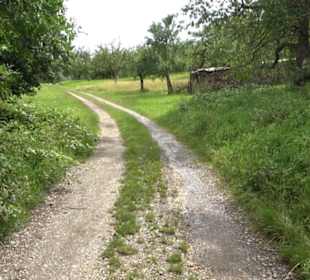 Premiumspazierweg Früchtetrauf-Leisawegle