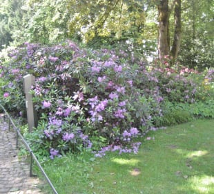 Spaziergang im Palaisgarten