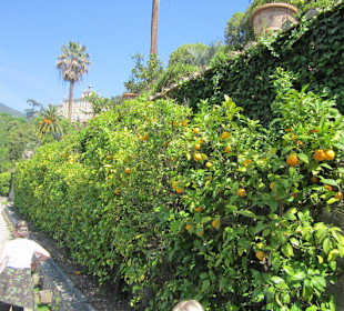 Garten und Villa Garzoni in Collodi