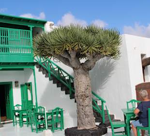 Cäsar Manrique - Bauernhaus