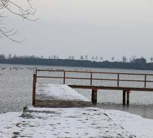 See Żnińskie Duże