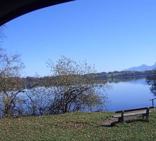 Goldener Herbst 2009 - Motiv  Murnau am Staffelsee