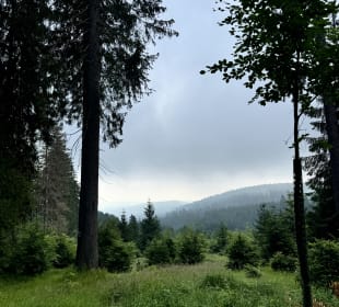Wandern Oberhof
