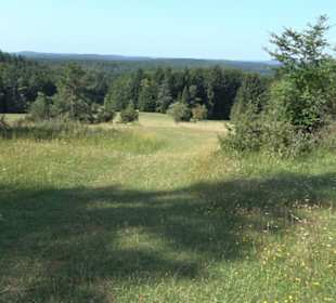 Sternberg