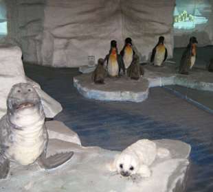 Eiswelt