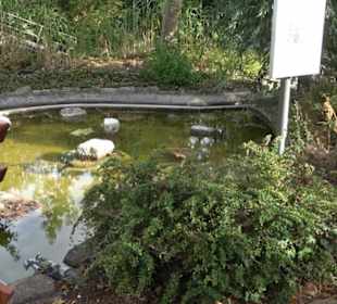 Erlebnispark Tripsdrill