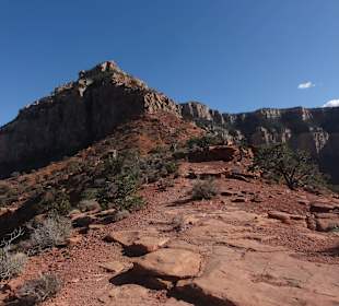 Гранд Каньон - Кайбаб трек1