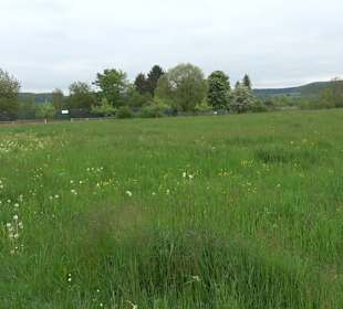 Tennisanlage TC Giengen