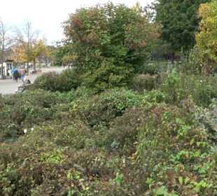 Uferpromenade Friedrichshafen