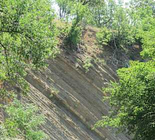 Krajobrazy w trakcie safari