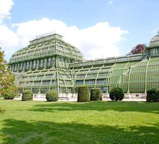 Palmenhaus in Schönbrunn