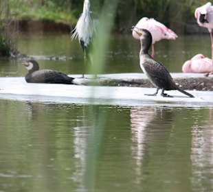 ZOOM Erlebniswelt Gelsenkirchen