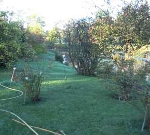 Botanischer Garten