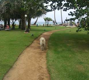 Unser Strandbegleiter