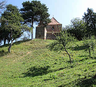 Burg Slimnic/Stolzenburg