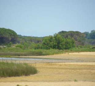 Strand von Bibione 06-2010