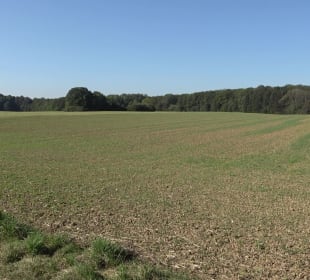 Kelten-Erlebnis-Pfad Erkenbrechtsweiler