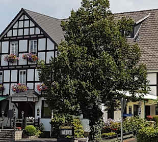 Wandern Schmallenberg