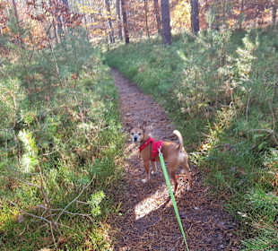 Wandern Zwenzow