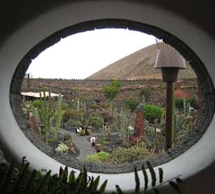 Jardin de Cactus