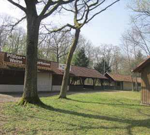 Der Handkeesfestplatz