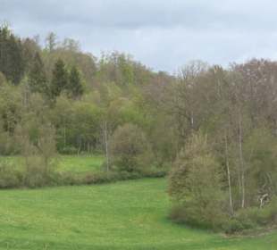 Premiumwanderweg Hochgebürzelt