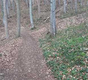 Teckberg