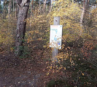 Hinweistafeln unterwegs auf dem Ameisen Barfußpfad