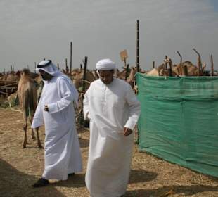 Camelmarkt in Buraimi/ Al Ain