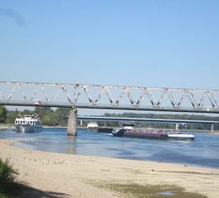 Uferpromenade Germersheim Niedrigwasser