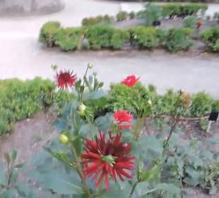 Real Jardín Botánico de Madrid