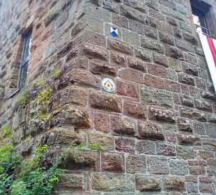 Burg Wilenstein in Trippstadt