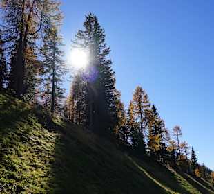 Herbst zum Verlieben
