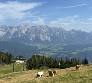 Ausblick